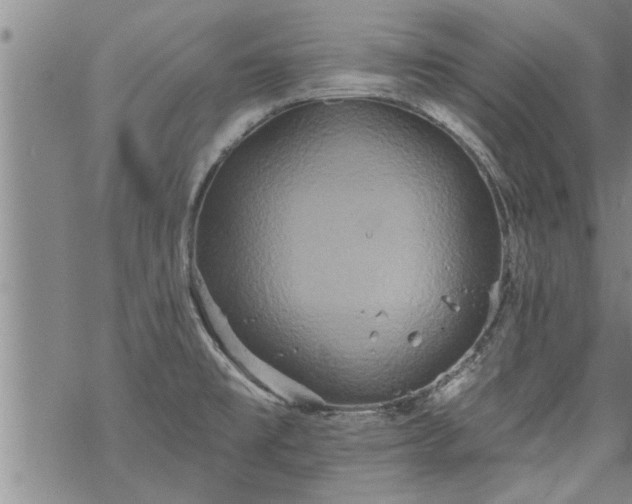 X0000069381477200605192136