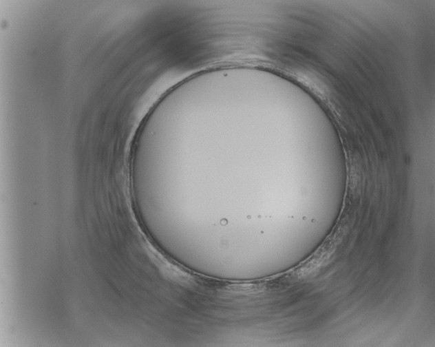 X0000069381478200605192136