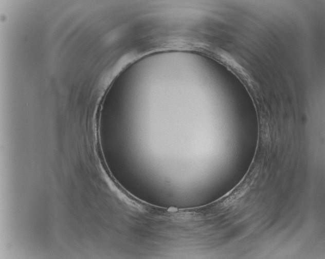 X0000069381479200605192136