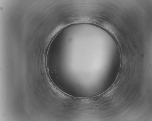 X0000069381480200605192136