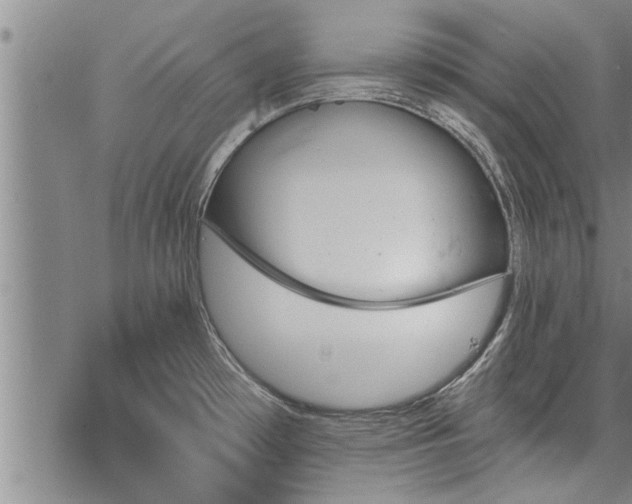 X0000069381481200605192136