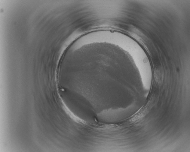 X0000069381482200605192136