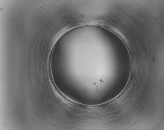 X0000069381483200605192136