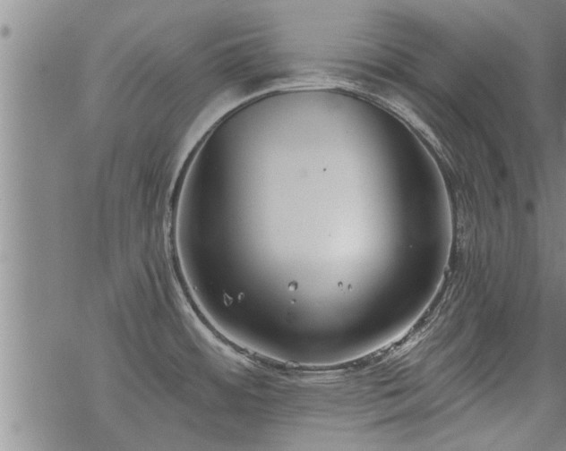 X0000069381484200605192136