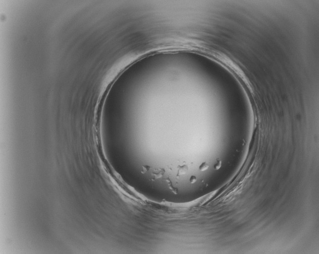 X0000069381485200605192136