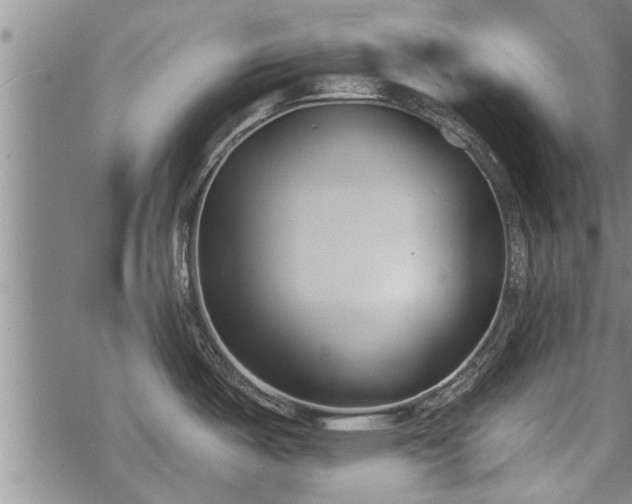 X0000069381487200605192136