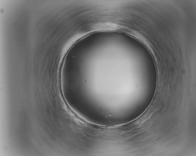 X0000069381488200605192136