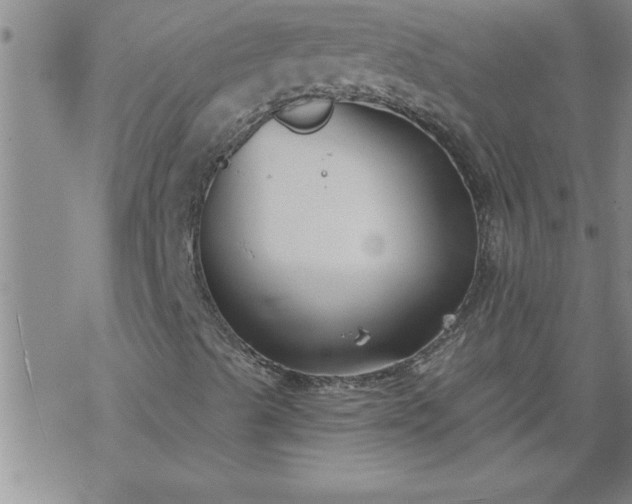 X0000069381489200605192135