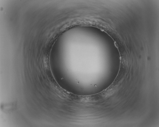 X0000069381490200605192135