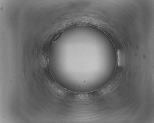 X0000069381491200605192135