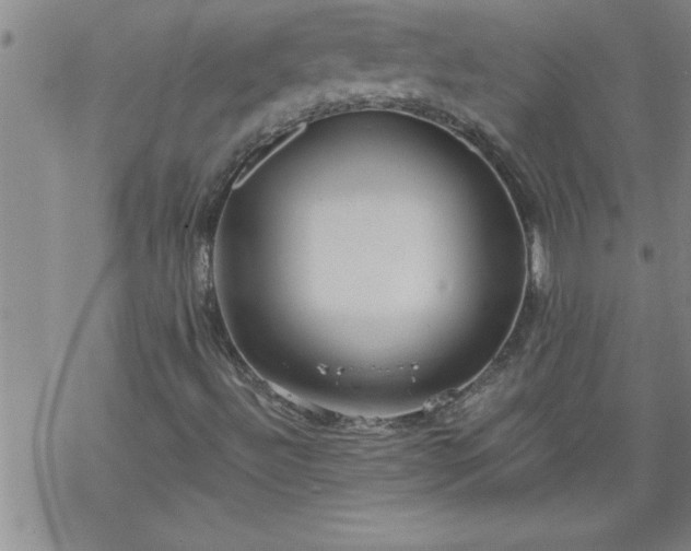 X0000069381492200605192135