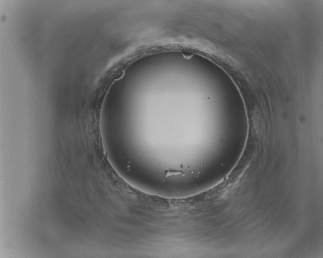 X0000069381494200605192135