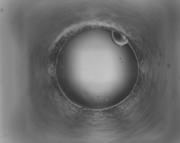 X0000069381495200605192136