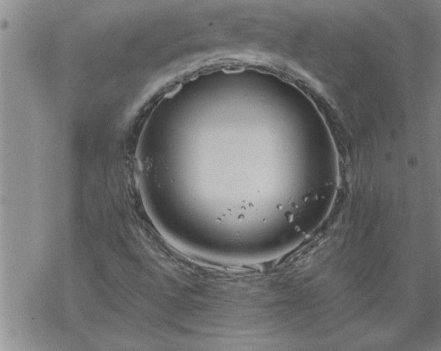 X0000069381496200605192136