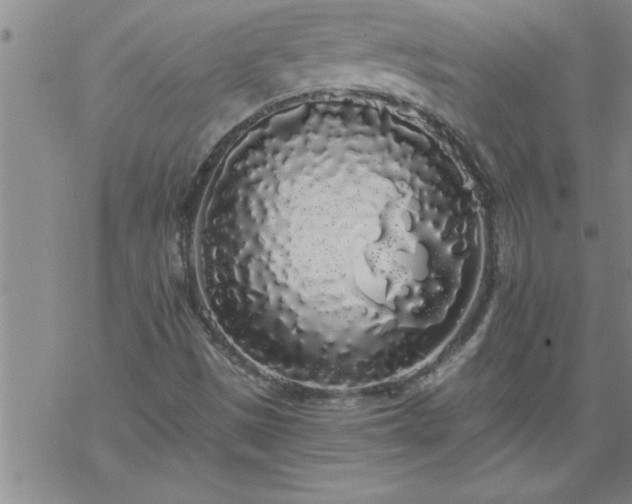 X0000069381497200605192136