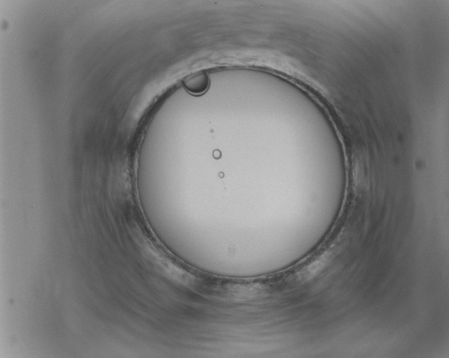 X0000069381498200605192136