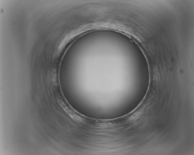 X0000069381499200605192136