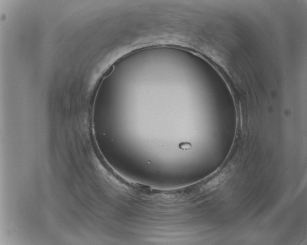 X0000069381500200605192136