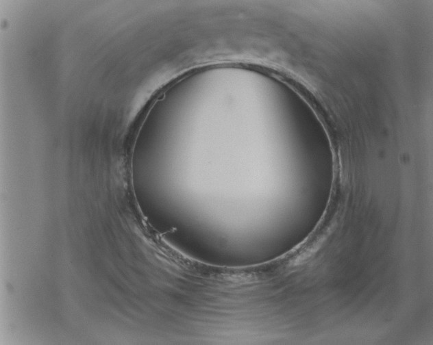 X0000069381501200605192136