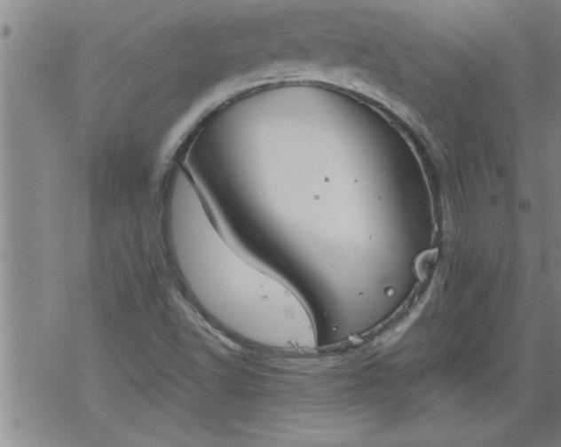 X0000069381502200605192136