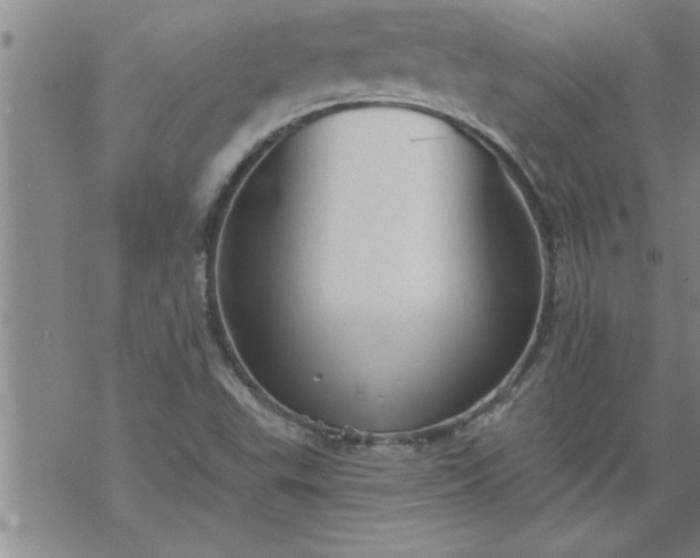 X0000069381503200605192136