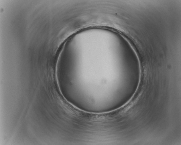 X0000069381505200605192136