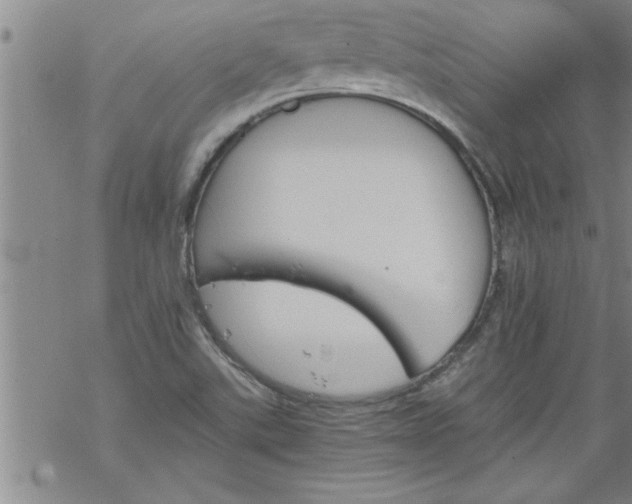 X0000069381507200605192136