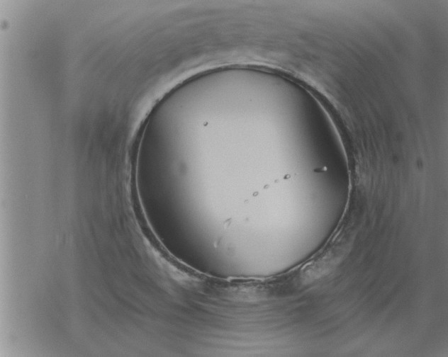 X0000069381508200605192136