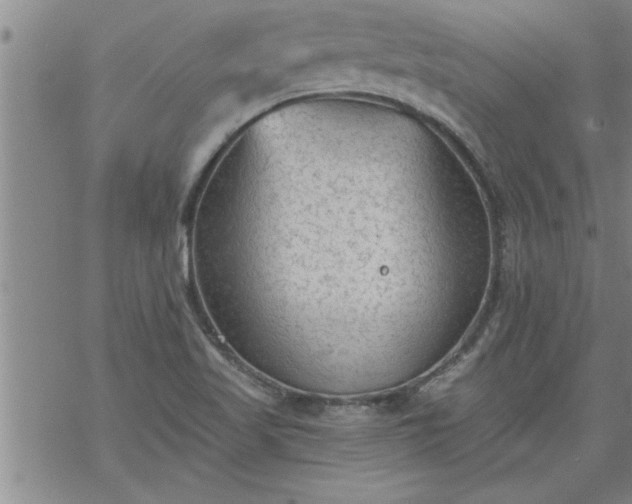 X0000069381509200605192136