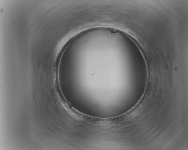 X0000069381511200605192136