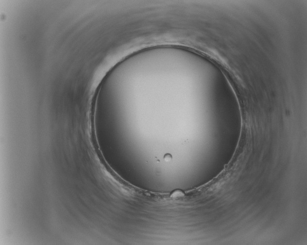 X0000069381512200605192136