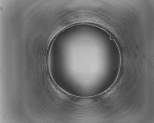 X0000069381513200605192136