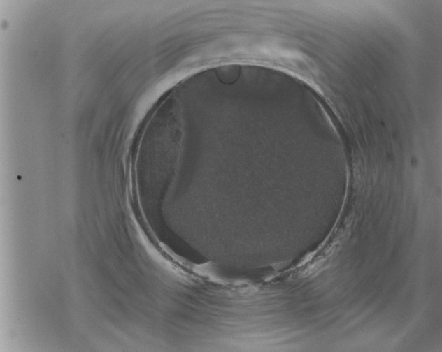 X0000069381515200605192136