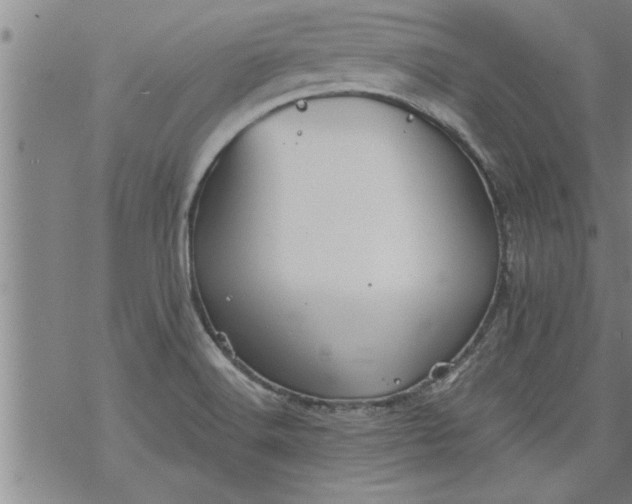 X0000069381516200605192136