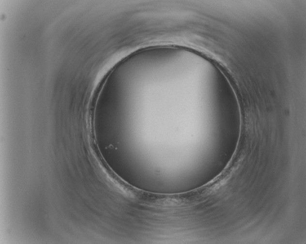 X0000069381517200605192136