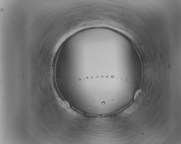 X0000069381518200605192136