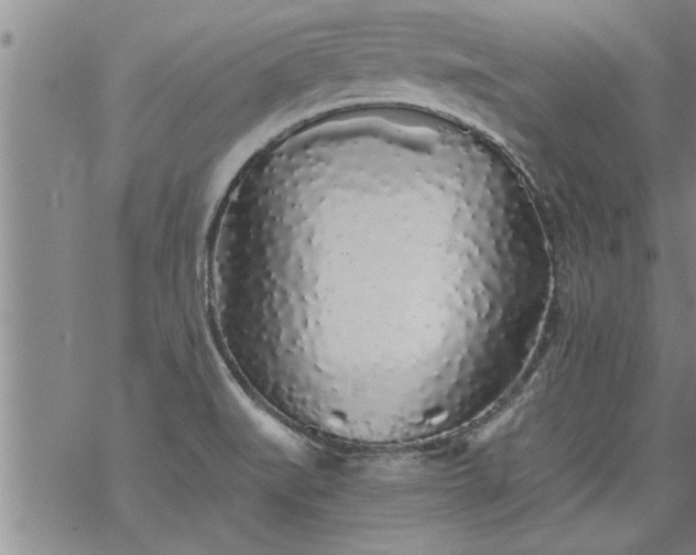 X0000069381519200605192136