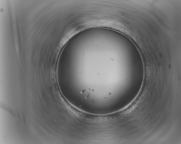 X0000069381521200605192136