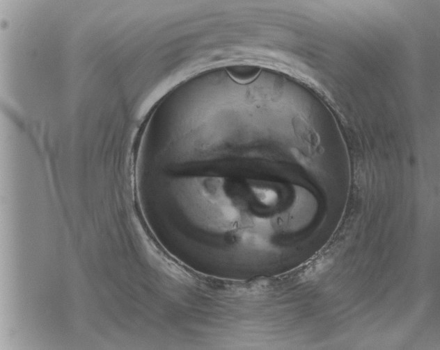 X0000069381522200605192136