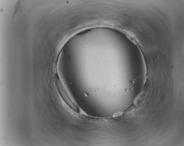 X0000069381524200605192136