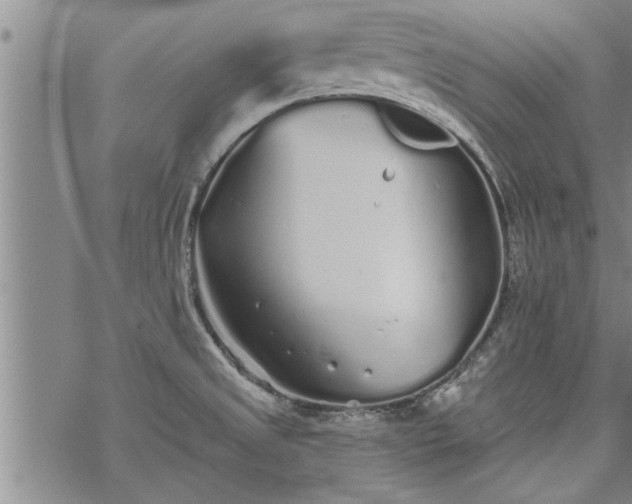 X0000069381525200605192136