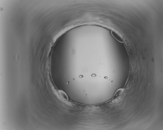 X0000069381526200605192136