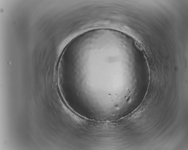 X0000069381527200605192136