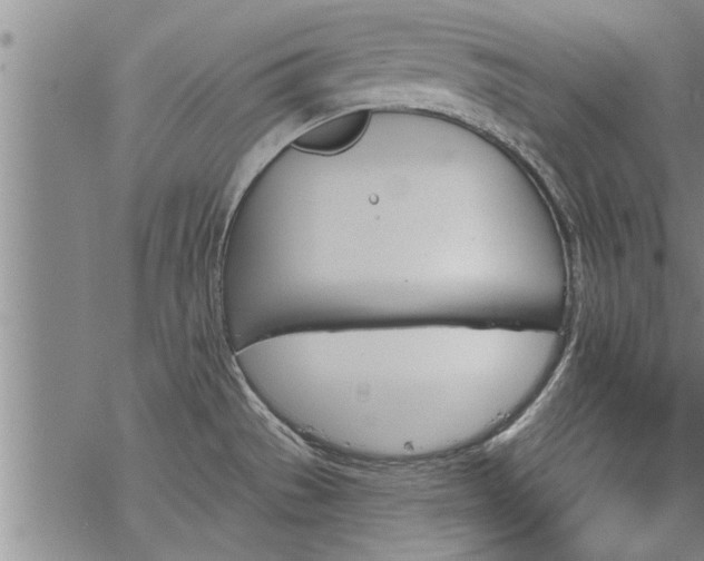 X0000069381529200605192136