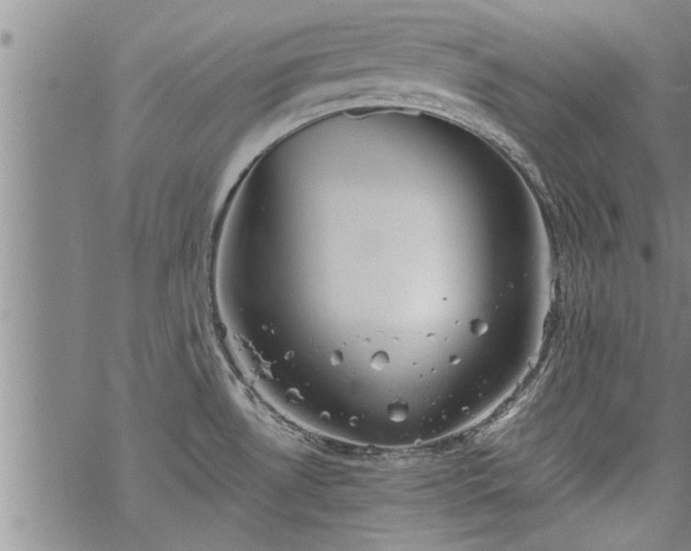 X0000069381530200605192136