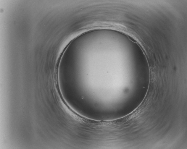 X0000069381531200605192136