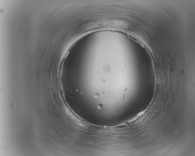 X0000069381532200605192136