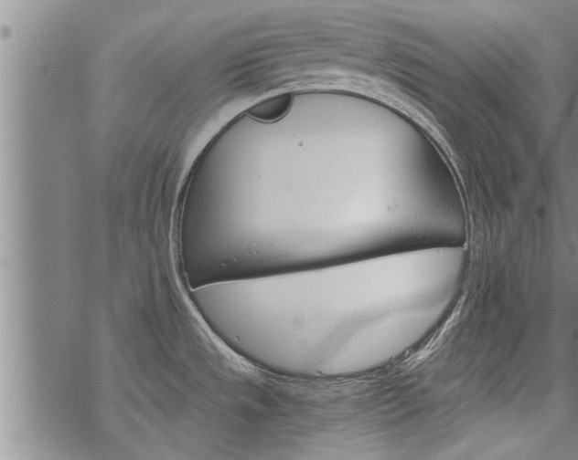 X0000069381533200605192136