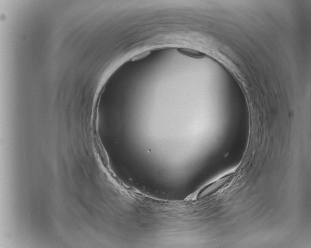 X0000069381536200605192136