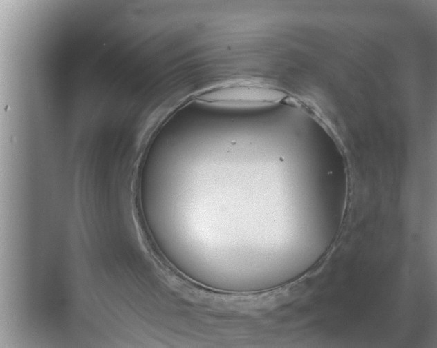 X0000069380001200605262102